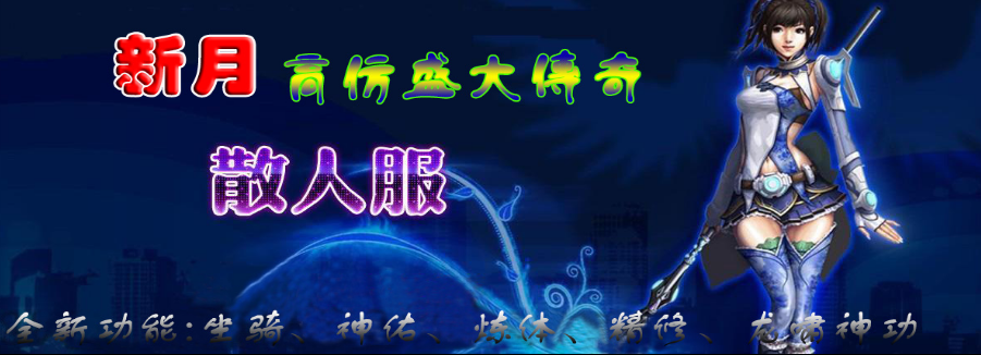 100%仿盛大刺客