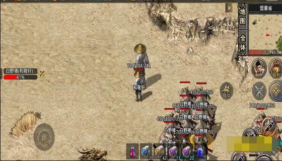 等级与境界是玩家提升实力的关键